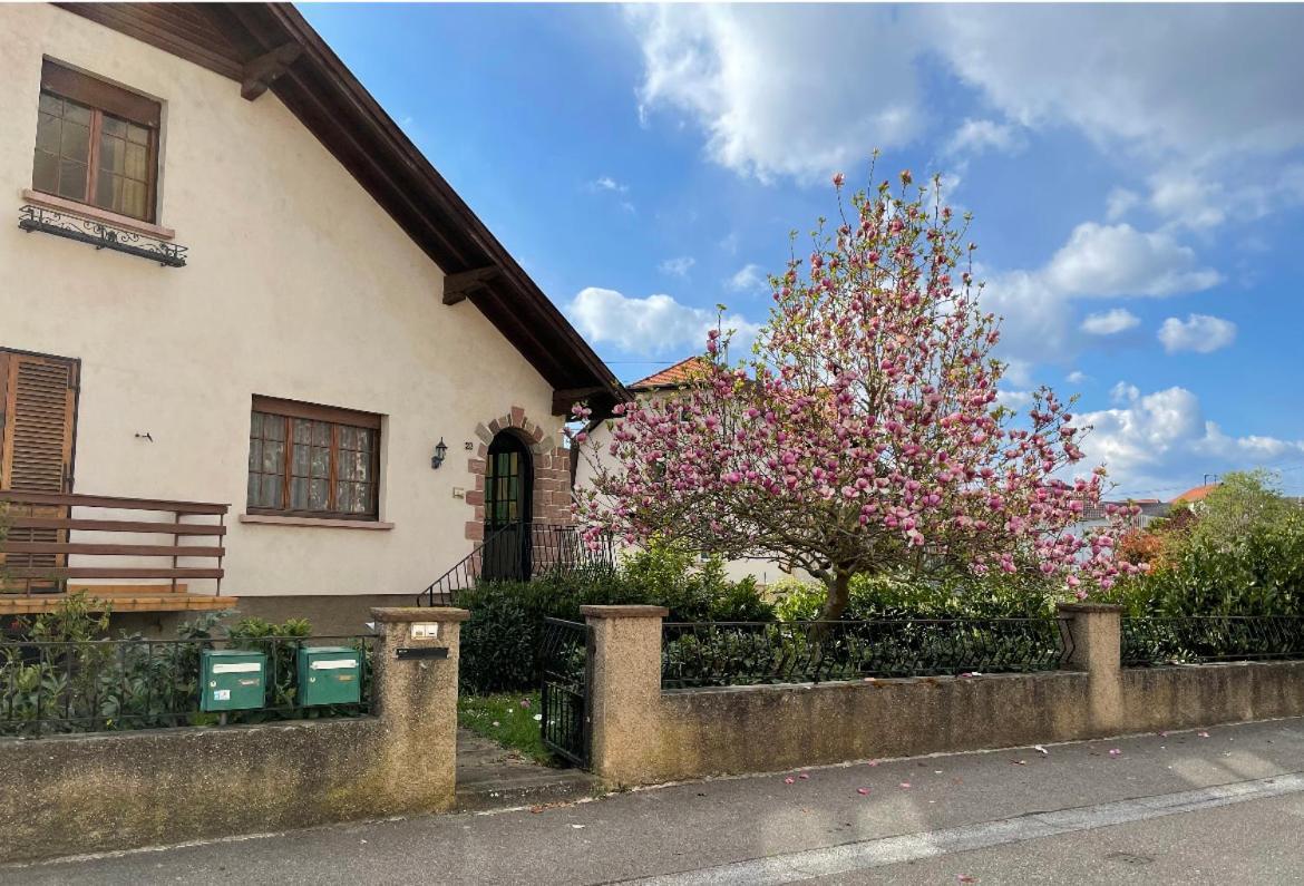 Villa Schmitt Sélestat Exterior foto