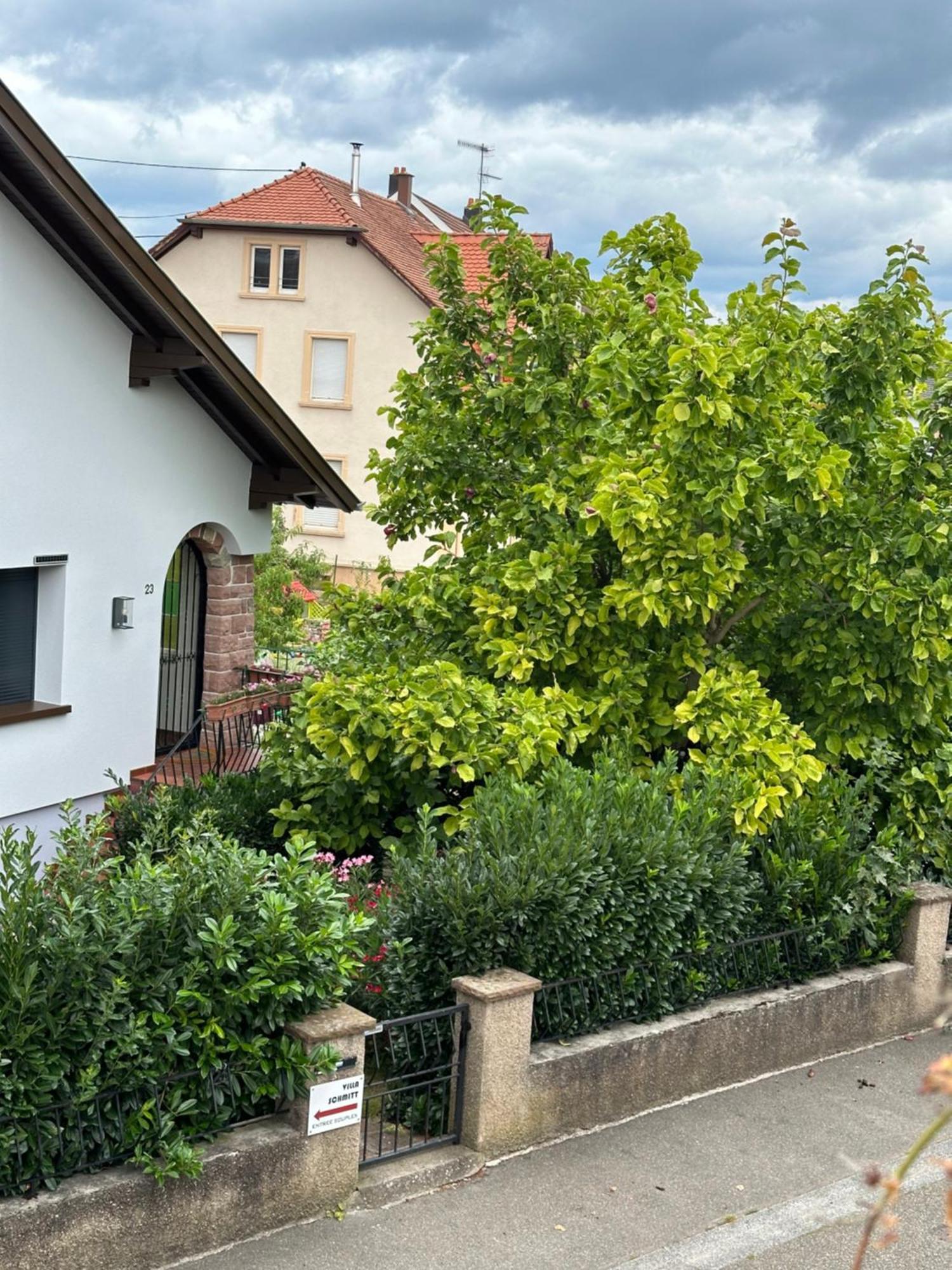 Villa Schmitt Sélestat Exterior foto